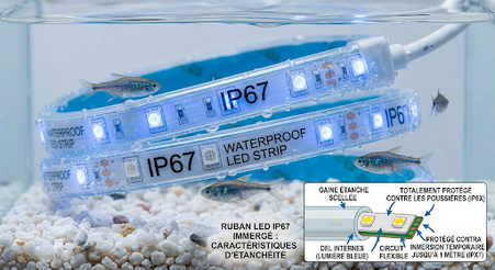 Ruban-led-IP67